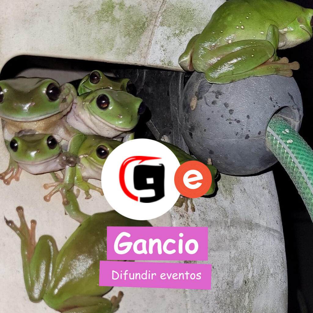 Banner con una rana de fondo, tiene el logo de Gancio y que es una plataforma para difundir eventos