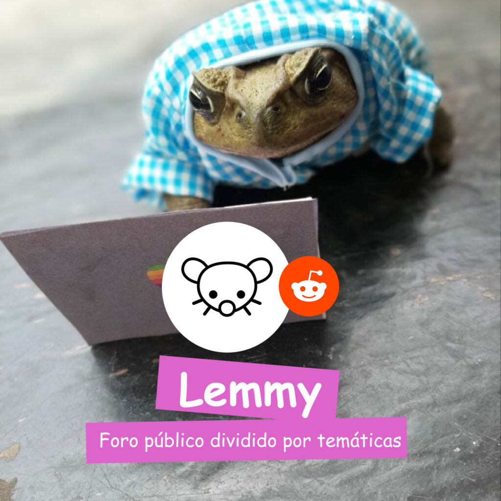 Banner con una rana de fondo, tiene el logo de Lemmy y dice que es un foro dividido por temáticas