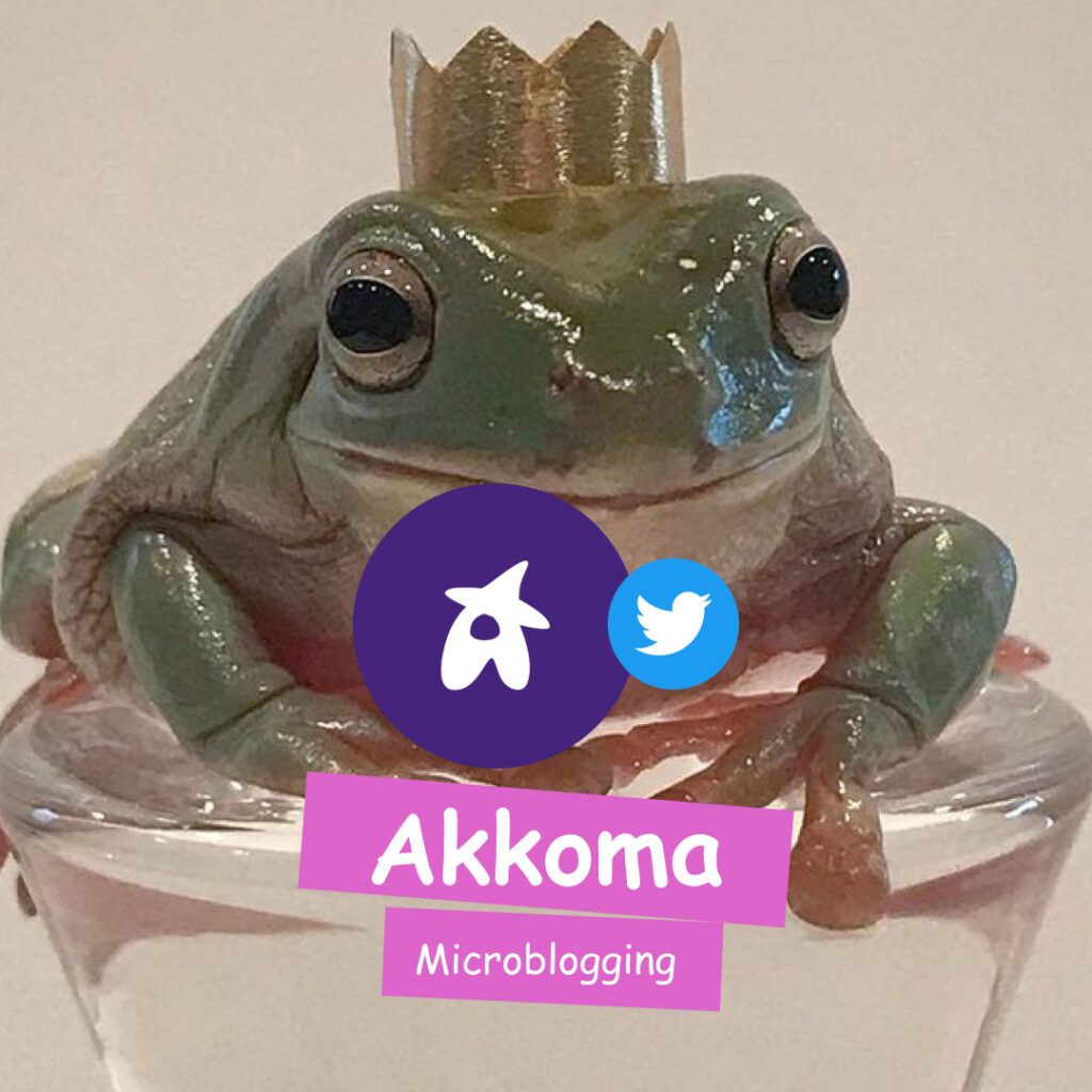 Banner con una rana de fondo, tiene el logo de Akkoma y que es una plataforma de microbloging